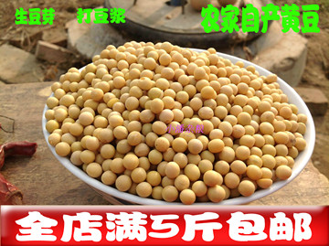 黄豆 非转基因 农户自种有机小黄豆 可发豆芽豆浆 五谷杂粮特产