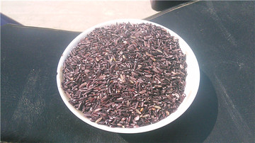 农家纯天然紫香米 紫血糯米 长紫米 糙米 有机无添加健康稻米500g