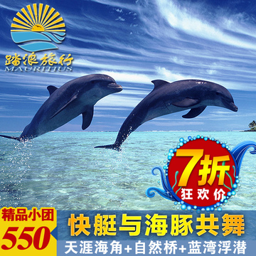 毛里求斯踏浪旅游一日自由行与海豚共舞 天涯海角 自然桥蓝湾游