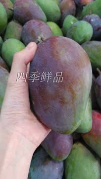2015攀枝花爱文芒果批发价新鲜水果原产地特价直销