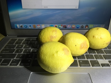 四川安岳新鲜黄柠檬1斤丑果