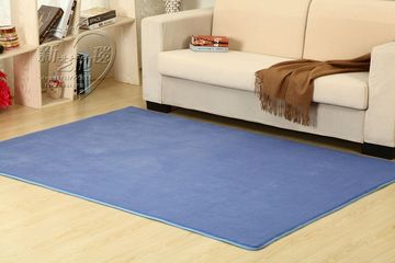 特价加厚珊瑚绒地毯日式客厅卧室地毯爬爬垫床边满铺地毯地垫定制
