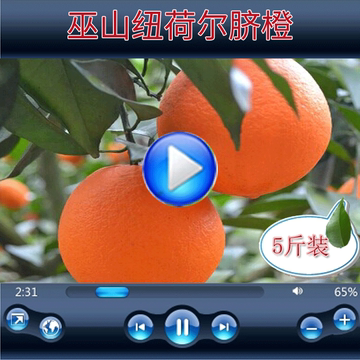 纽荷尔重庆巫山纽荷尔橙子新鲜水果超赣南脐橙奉节脐橙5斤