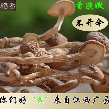 江西广昌特级农家茶树菇不开伞纯天然野生赛古田干货250g两件包邮