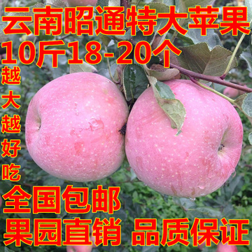 云南昭通冰糖心野生丑苹果 丑苹果新鲜水果 苹果水果包邮果园直销