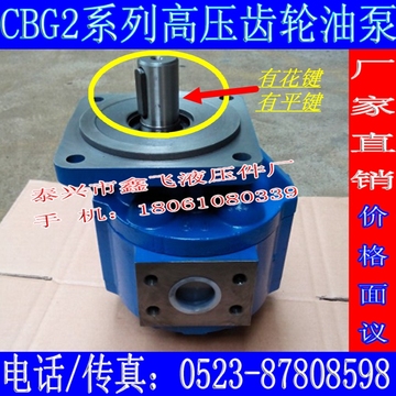 CBG2063 CBG2080 CBG2100高压齿轮油泵 起重机械泵 矿山机械