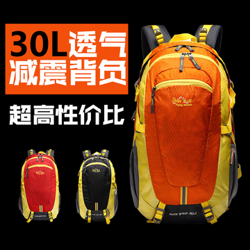 攀跃专业登山包旅行包双肩包户外背包 旅游骑行野营徒步背包30L