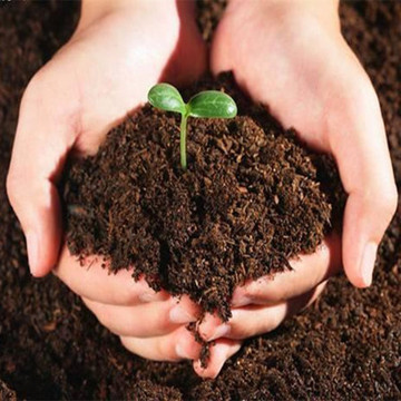 配制种植土 园艺用品 营养土 种菜养花最适合 有机育苗基质专用型