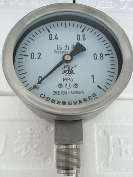 安徽天康压力表/YB-100不锈钢压力表20*1.5接头