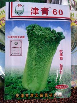 10包邮四季盆栽蔬菜 青菜种子特价促销25克300粒大包装火筒菜种子
