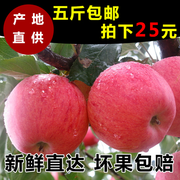 灵宝高山苹果天然无污染农家特产有机水果新鲜红富士苹果5斤包邮