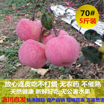 陕西苹果孕妇水果新鲜洛川苹果农家有机红富士70#特价非烟台苹果