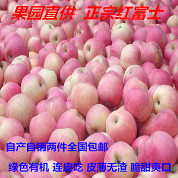 甘肃礼县红富士苹果孕妇纯天然红富士酸甜可口新鲜红富士水果礼盒