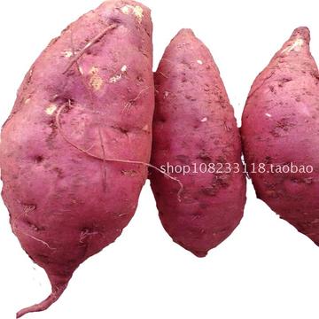 农家自种的新鲜生红薯 番薯 甘薯朱薯 地瓜 土特产 4斤包邮