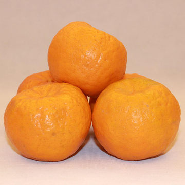 衢州橘子常山正宗农家有机椪柑芦柑很甜新鲜水果桔子10斤包邮