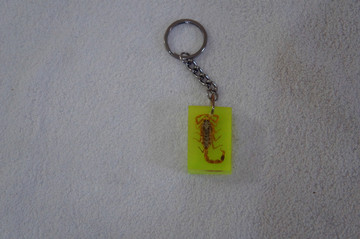夜光昆虫琥珀钥匙扣/链 生物标本挂件创意男女生礼物 汽车钥匙圈