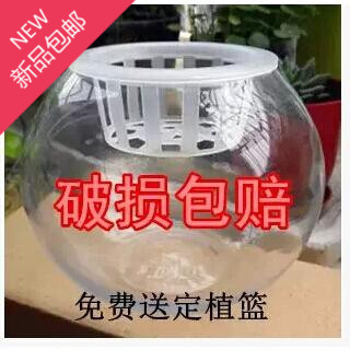 批发玻璃圆球花瓶特大花卉植物鱼缸花盆水培球形透明圆形玻璃包邮