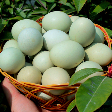 【30枚】绿壳鸡蛋礼品新鲜草鸡蛋土鸡蛋苏北绿皮鸡蛋青壳乌鸡蛋
