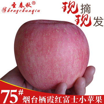 山东烟台栖霞小苹果红富士吃的新鲜水果胜阿克苏洛川昭通5斤包邮