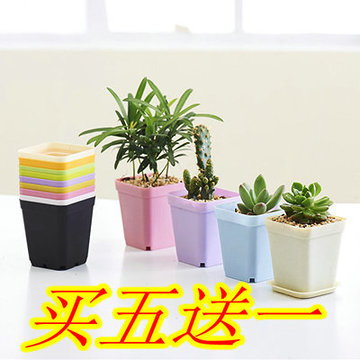 彩色塑料花盆 彩色方形小花盆 迷你植物花盆 办公桌花盆 带托花盆