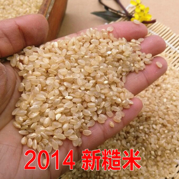 新糙米 大米有机糙米有机胚芽营养大米绿色养胃五谷杂粮500克