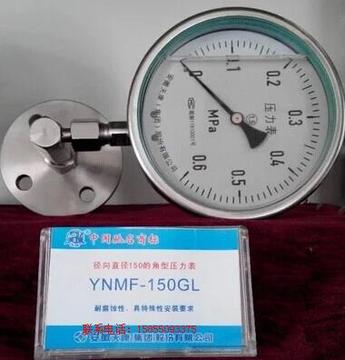 安徽天康隔膜耐震法兰直角压力表YNMF-150GL