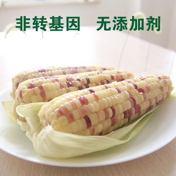 甜玉米东北特产水果糯玉米棒非转基因粘玉米新鲜玉米速冻12支包邮