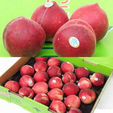 澳大利亚毛桃  澳洲桃子 水蜜桃 新鲜水果 整箱礼盒3.6到4公斤装