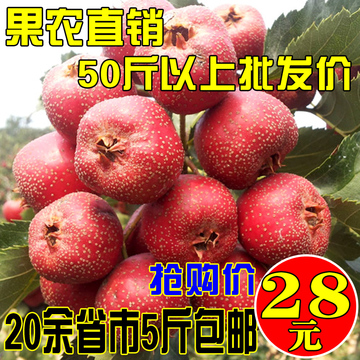 新鲜水果山楂可制作糖葫芦原料山东农家自种水果批发5斤包邮