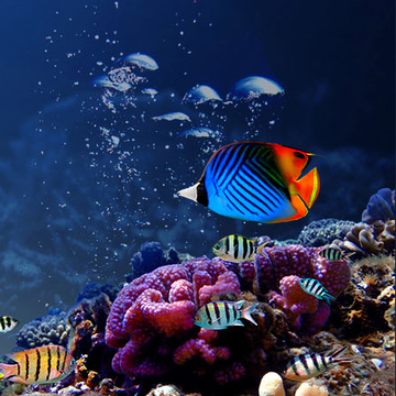 泰国芭提雅海底世界门票