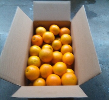 正宗的湖南永兴冰糖橙18斤装橙子云冠橙褚橙赣南脐橙新鲜水果甜橙