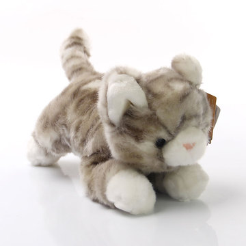 小猫咪公仔毛绒玩具猫 起司猫 趴姿猫玩偶儿童礼物包邮