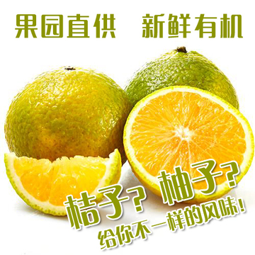 新品中国桔柚之乡会昌赣南脐橙桔柚有机新鲜水果甜桔柚5斤包邮