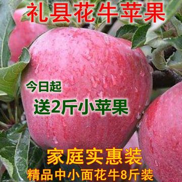 礼县花牛苹果宝宝水果红苹果面苹果粉苹果新鲜刮泥丑苹果包邮