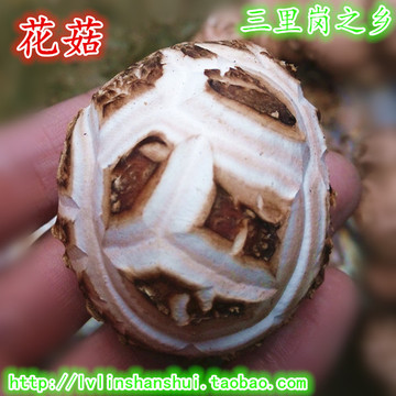香菇 季度干货 并非陈货 菌类蘑菇特产 椴木袋料花香菇