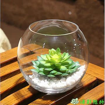 大号多肉植物创意个性花盆包邮花瓶花器水培鱼缸微景观玻璃球形
