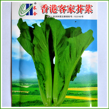 香港客家芥菜种子 无苦味 刈菜 盖菜籽  蔬菜种籽30克 9.9元包邮