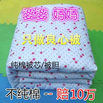 幼儿园大学生新棉花被褥儿童宝宝小被子芯全棉春秋夏凉被特价定做