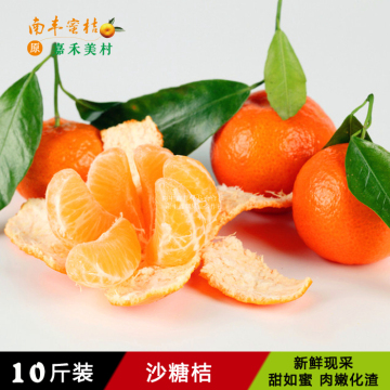 【嘉禾美村】南丰沙糖桔10斤新鲜水果蜜橘皮薄无核甜如蜜贡桔子