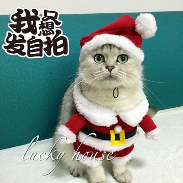 KOJIMA宠物衣服 猫狗衣服 超可爱圣诞装 宠物服装 秋冬 圣诞帽子