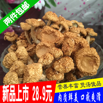 金宇 古田滑子菇干货 滑子蘑 滑菇 珍珠菇 黄金磨食用菌250g