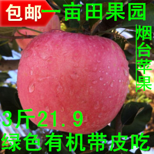 一亩田正宗山东烟台栖霞苹果新鲜水果红富士苹果3斤全国包邮