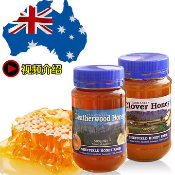 塔斯马尼亚 澳大利亚原装进口蜂蜜 农家纯天然 礼品装蜂蜜500g