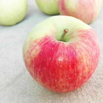 15年山西运城早熟嘎啦苹果水果 应季水果5斤包邮比红富士甜脆