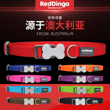 澳大利亚RedDingo宠物狗狗项圈 Red Dingo小中大猫狗颈圈脖圈多色