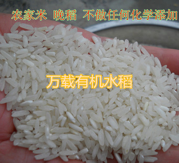 江西 原生态农家自种有机大米新米长粒不抛光黏米 早晚禾籼米香米