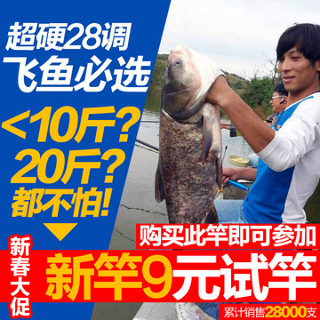【四海认证】双宝鱼竿碳素超轻超硬28调4.5 5.4米台钓竿钓鱼竿