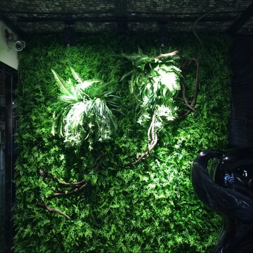 仿真什锦草坪塑料草皮假叶子米兰带花 幼儿园阳台装饰植物背景墙