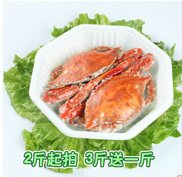 渤海湾野生公梭子蟹 当天 特产海鲜鲜活 海螃蟹鲜活飞蟹白蟹 包邮