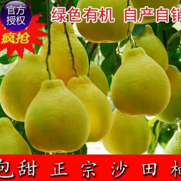 正宗梅州松口沙田柚，200斤装包邮，全店柚子每个重量，2.5到3.5